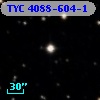 TYC 4088-604-1