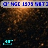 Cl* NGC 1978    WBT    2267