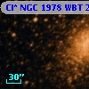 Cl* NGC 1978    WBT    2288