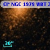 Cl* NGC 1978    WBT    2295