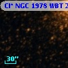 Cl* NGC 1978    WBT    2296