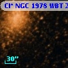 Cl* NGC 1978    WBT    2304