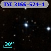 TYC 3166-524-1