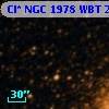 Cl* NGC 1978    WBT    2308