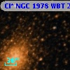 Cl* NGC 1978    WBT    2311