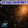 Cl* NGC 1978    WBT    2313