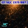 Cl* NGC 1978    WBT    2316