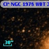 Cl* NGC 1978    WBT    2317