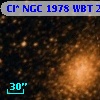 Cl* NGC 1978    WBT    2325