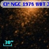 Cl* NGC 1978    WBT    2331