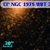 Cl* NGC 1978    WBT    2332