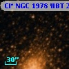 Cl* NGC 1978    WBT    2334