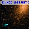 Cl* NGC 1978    WBT    2335