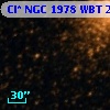 Cl* NGC 1978    WBT    2338