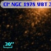 Cl* NGC 1978    WBT    2339