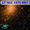 Cl* NGC 1978    WBT    2341