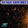 Cl* NGC 1978    WBT    2344