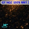 Cl* NGC 1978    WBT    2362