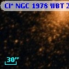 Cl* NGC 1978    WBT    2366