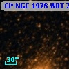Cl* NGC 1978    WBT    2370
