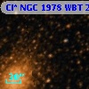 Cl* NGC 1978    WBT    2384