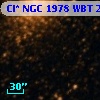 Cl* NGC 1978    WBT    2388