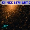 Cl* NGC 1978    WBT    2392
