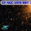 Cl* NGC 1978    WBT    2396