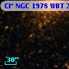 Cl* NGC 1978    WBT    2407