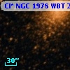 Cl* NGC 1978    WBT    2412
