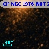 Cl* NGC 1978    WBT    2421