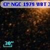 Cl* NGC 1978    WBT    2427