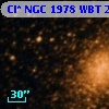 Cl* NGC 1978    WBT    2428