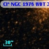 Cl* NGC 1978    WBT    2429