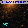 Cl* NGC 1978    WBT    2430