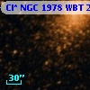 Cl* NGC 1978    WBT    2437