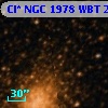 Cl* NGC 1978    WBT    2441
