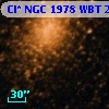 Cl* NGC 1978    WBT    2444