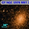 Cl* NGC 1978    WBT    2446