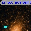 Cl* NGC 1978    WBT    2447