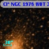 Cl* NGC 1978    WBT    2449