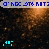 Cl* NGC 1978    WBT    2451