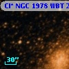 Cl* NGC 1978    WBT    2455