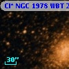 Cl* NGC 1978    WBT    2461