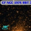 Cl* NGC 1978    WBT    2463