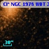 Cl* NGC 1978    WBT    2464