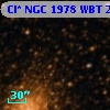 Cl* NGC 1978    WBT    2467
