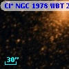 Cl* NGC 1978    WBT    2481