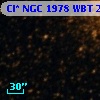 Cl* NGC 1978    WBT    2482