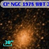 Cl* NGC 1978    WBT    2483